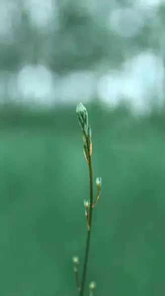 上海高考古诗默写,上海高考常考古诗词默写题