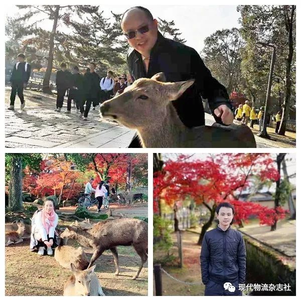 日本物流公司招募,日本物流工作招聘