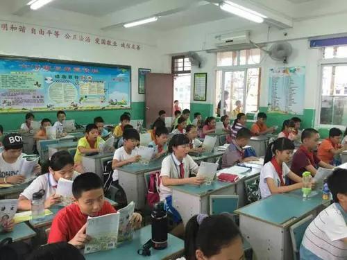 最美小学,海口优秀的小学