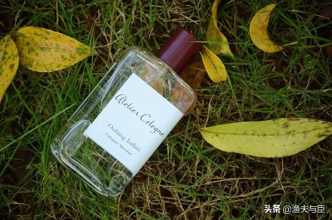 论颜值和论品质,论颜值与实用性