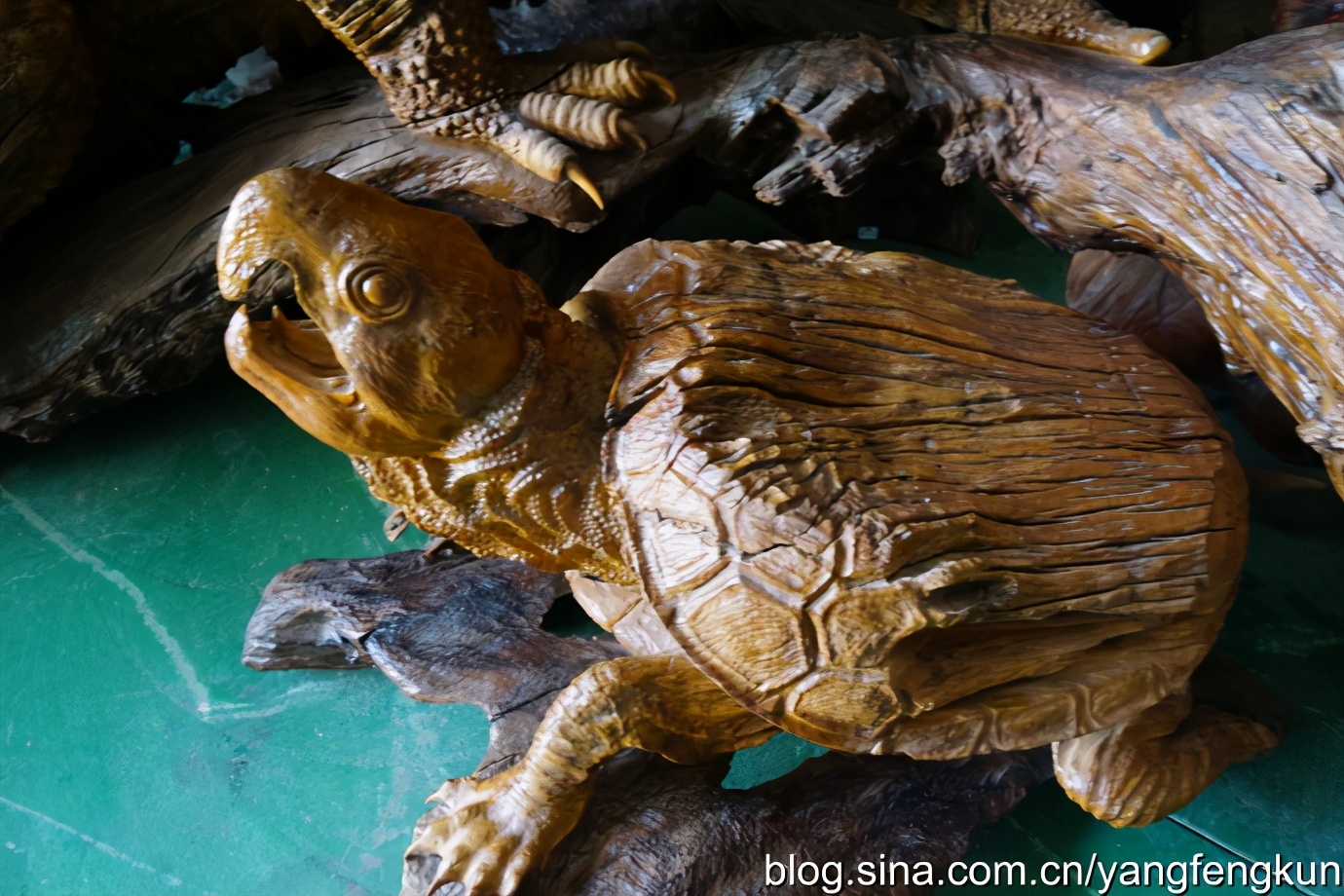 世界上最大的蜗牛介绍,全世界最大的蜗牛