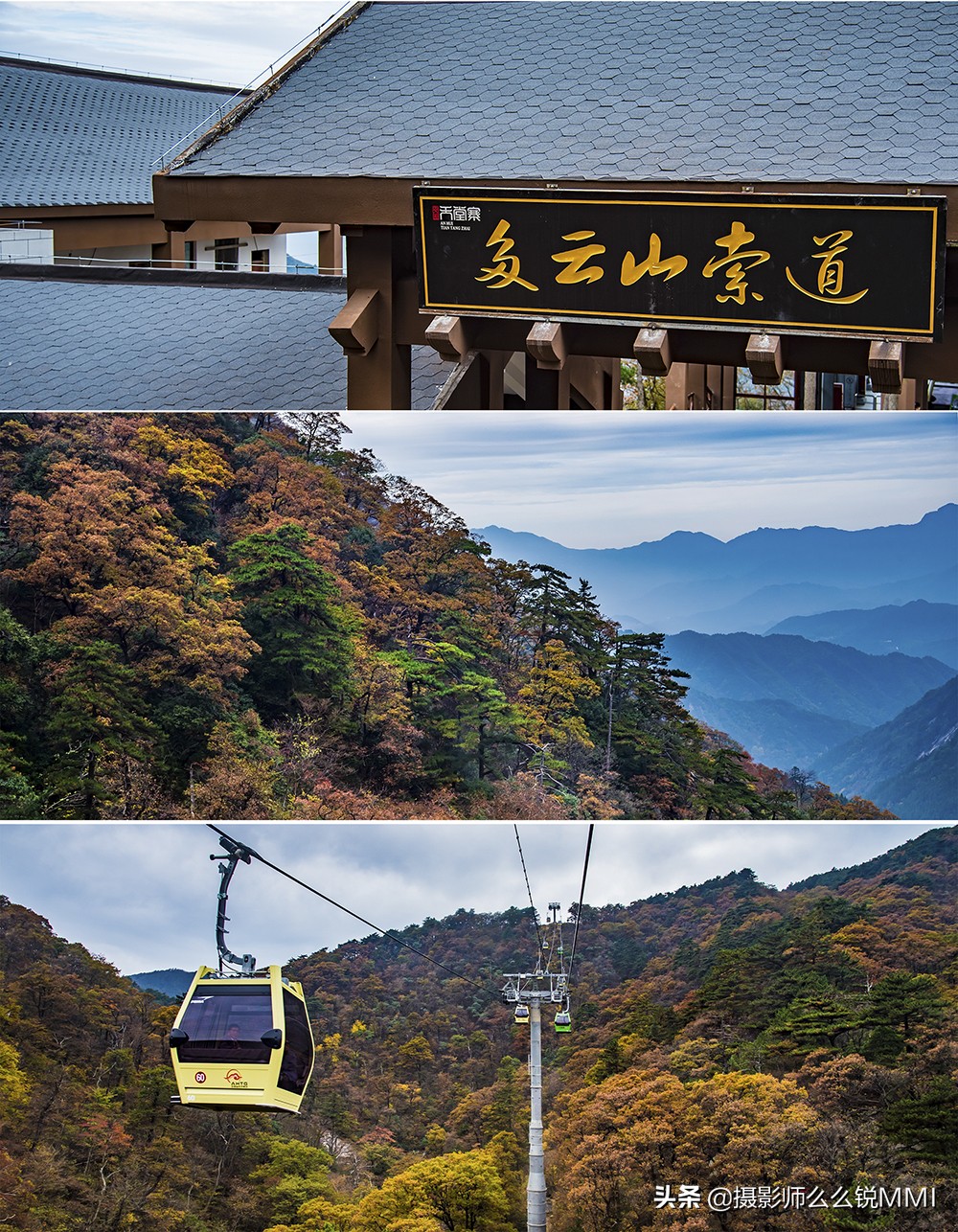 皖西大别山原始森林,华东最后一座原始森林