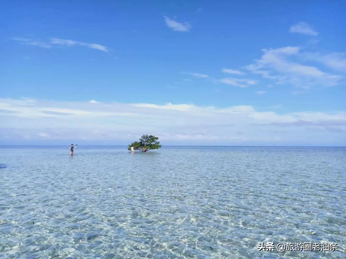 旅游导游专业叫什么,旅游景点的导游