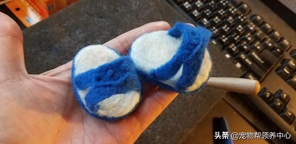 蓝猫洗澡闹脾气暴躁主人怎么制服,猫咪拖鞋蓝猫和白猫