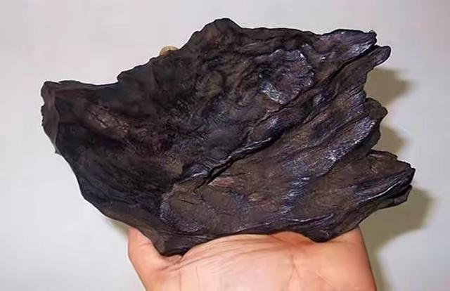 浅谈中药沉香的功效和作用,古今沉香产地优劣排名