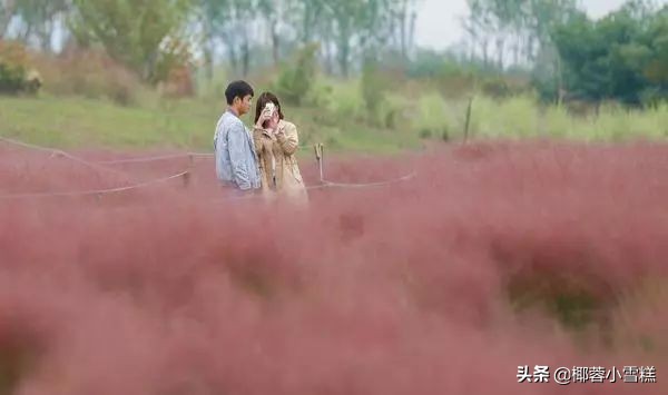 郑州适合晨跑的地方,郑州晨跑圣地