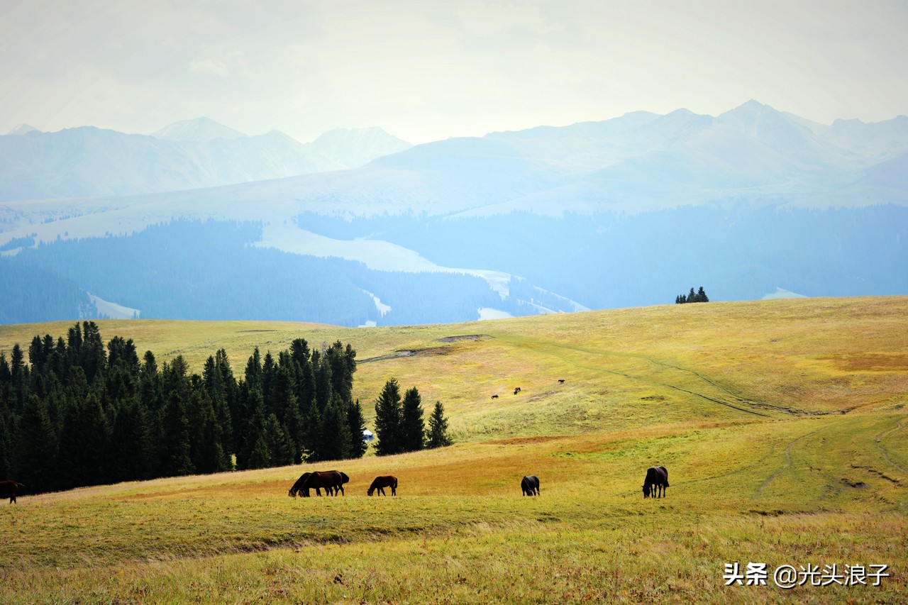 世界自然遗产地喀拉峻大草原,来新疆感受大自然的喀拉峻大草原