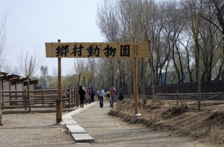 六一儿童节陪孩子怎么过节,六一怎么带孩子玩