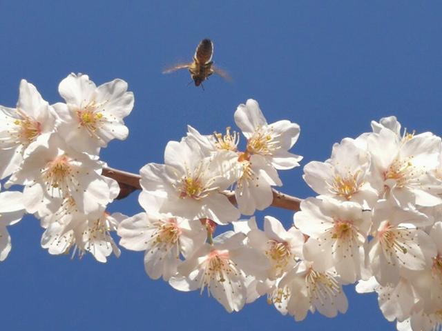 手拍世界手机摄影平台,手拍世界摄影平台