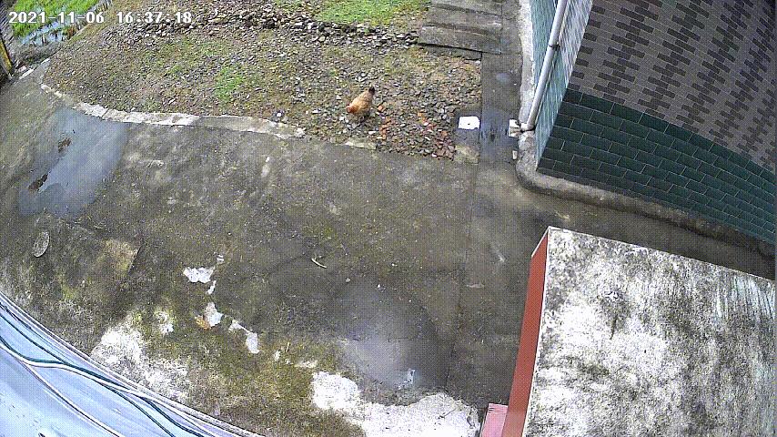 小米墙挂式监控摄像头,1台监控摄像头连接二台录像机