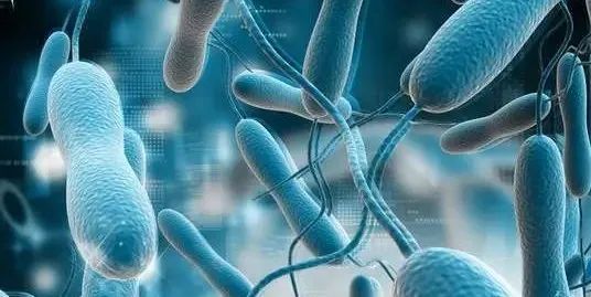 沈阳外阴白斑如何彻底根治,沈阳医大二院外阴白斑