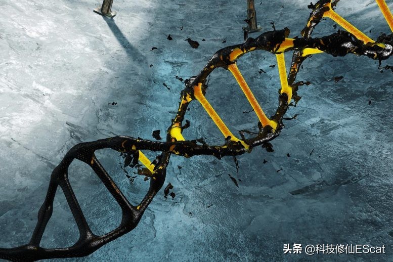 以人类目前的技术能复活恐龙吗,用ar技术复活中国远古时期的恐龙