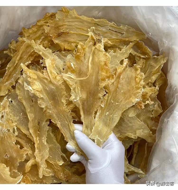 假花胶浸泡后有透明胶,鸡蛋胶假冒黄花胶