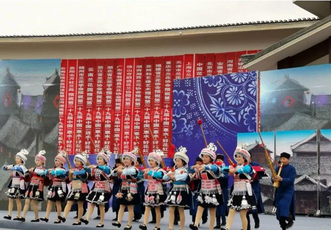惠水第29届兰博会兰花获奖图片,惠水国际兰花展