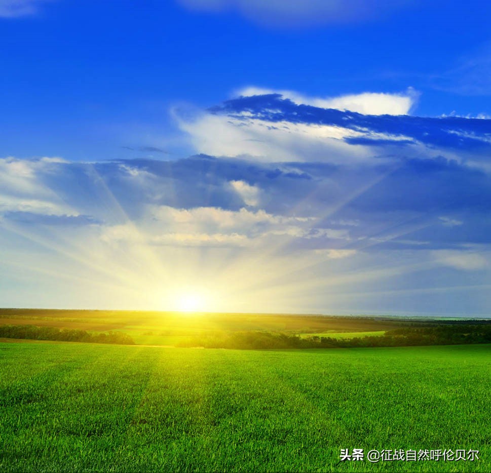 我来到你的城市走过你熟悉的街,我来到你的城市走过你走的路