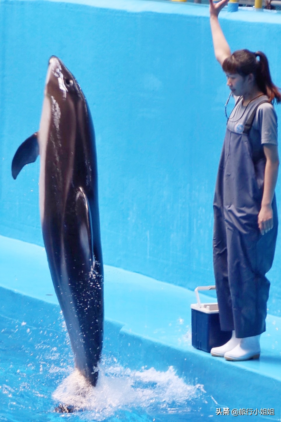住在梦幻城堡,抚仙湖海豚湾住宿攻略