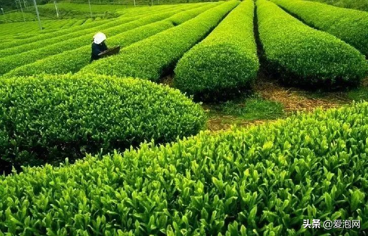 中国最美最好的自驾游线路,五一最火热的自驾游线路推荐