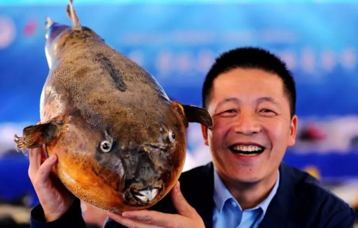 曹妃甸旅游规划图,曹妃甸旅游产业园