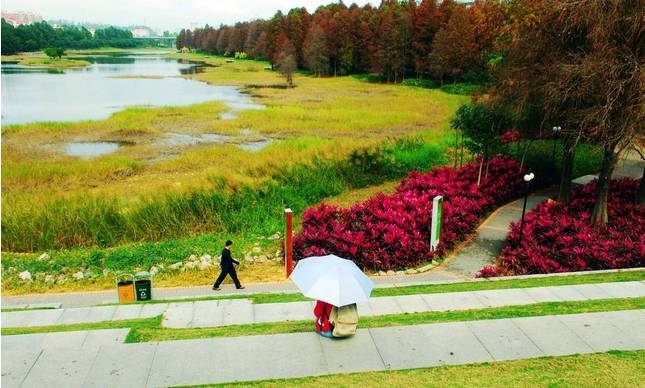 菏泽高新区最新规划新消息,菏泽未来发展前景分析