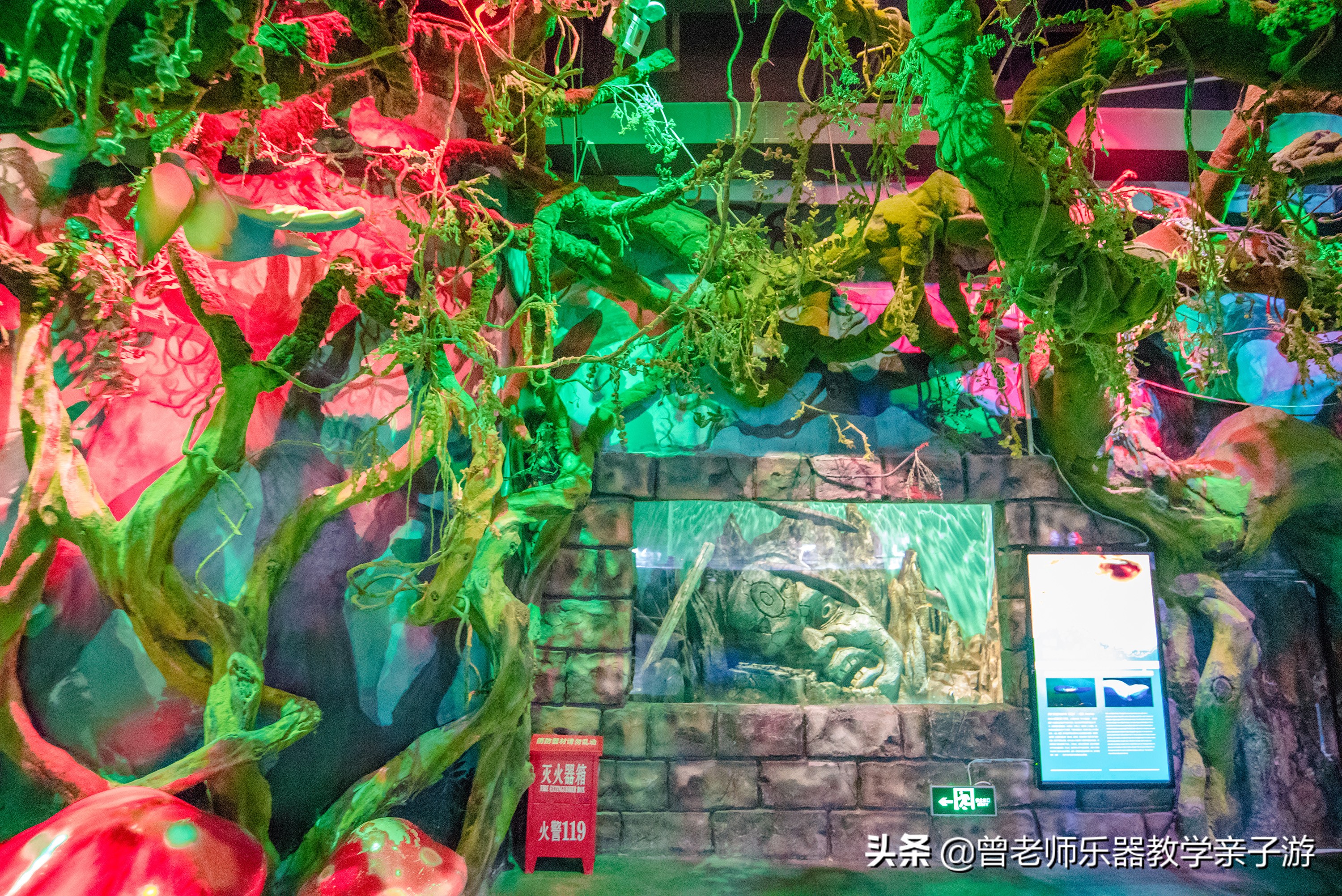 西安太奥海洋馆,西安极地海洋世界海豚表演