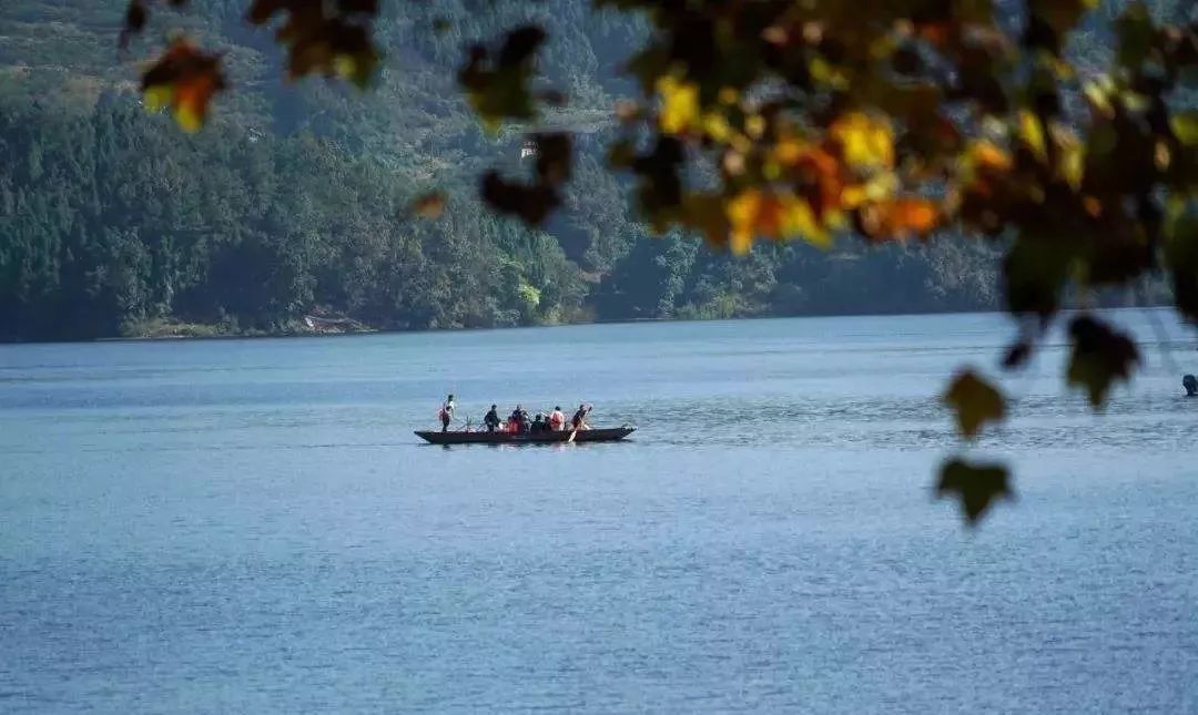 一泡而红！四川这座小城已火向全球，今天万人齐聚！