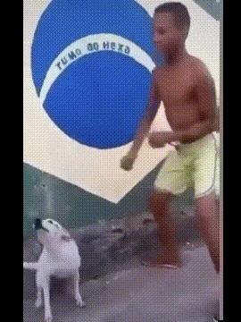 每日一笑看完你能不能忍住不笑,每日一笑看了让你笑