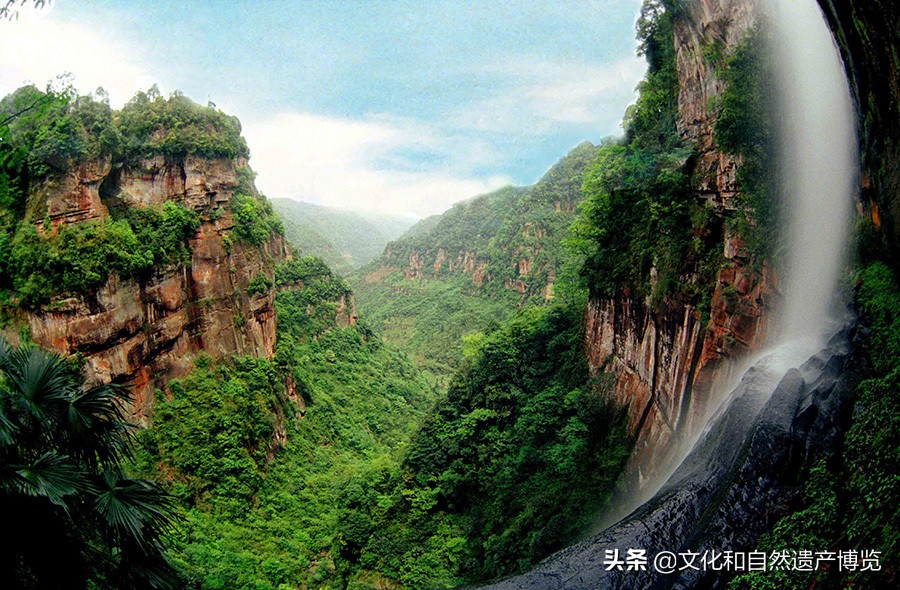 世界自然遗产赤水桫椤植物,赤水世界文化遗产