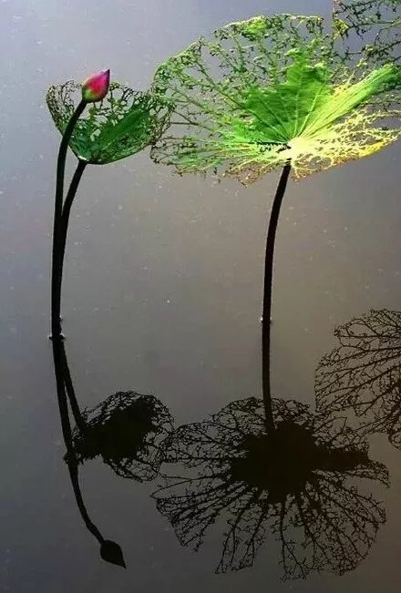 人为什么要挣钱活着,人为什么要挣钱完整版