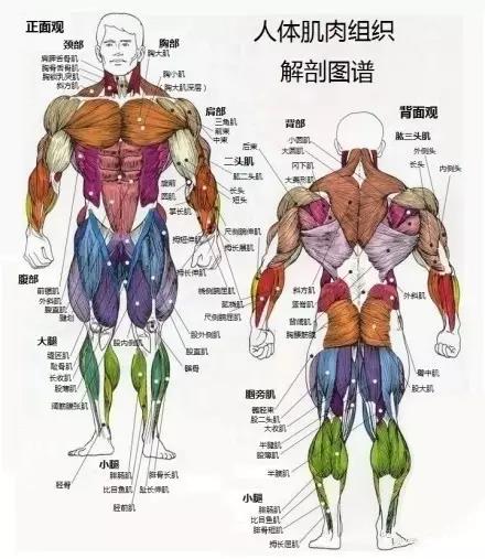 15张图看出十张算你厉害,15斤肉直观图