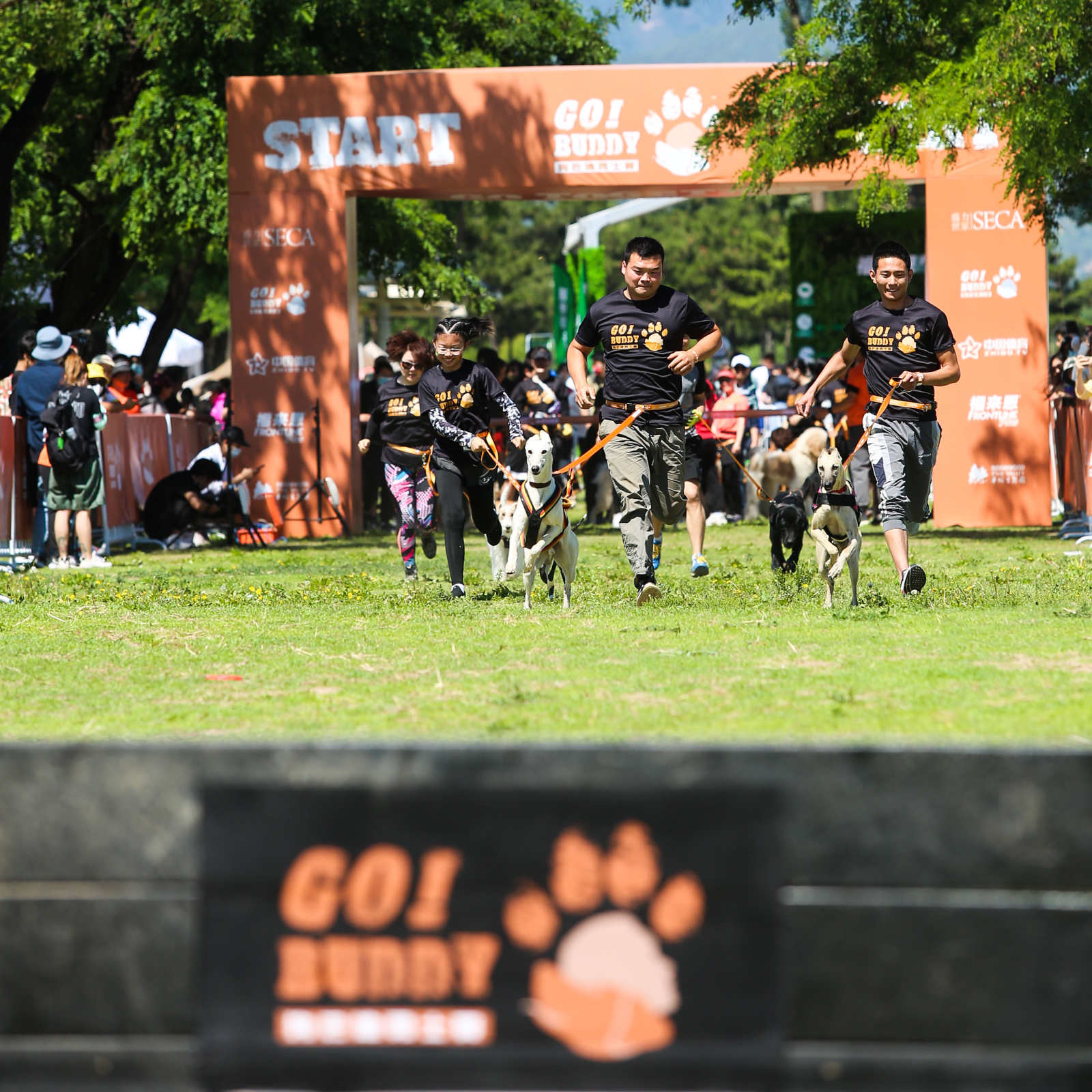 狗巴迪勇士赛上海,2021狗巴迪勇士赛首站登陆北京