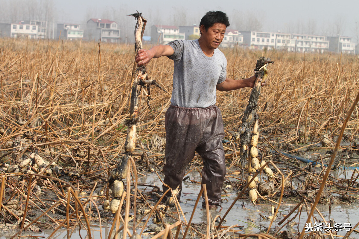 棰勬湡鍦熷湴娴佽浆,鍦熷湴娴佽浆瑙嗛