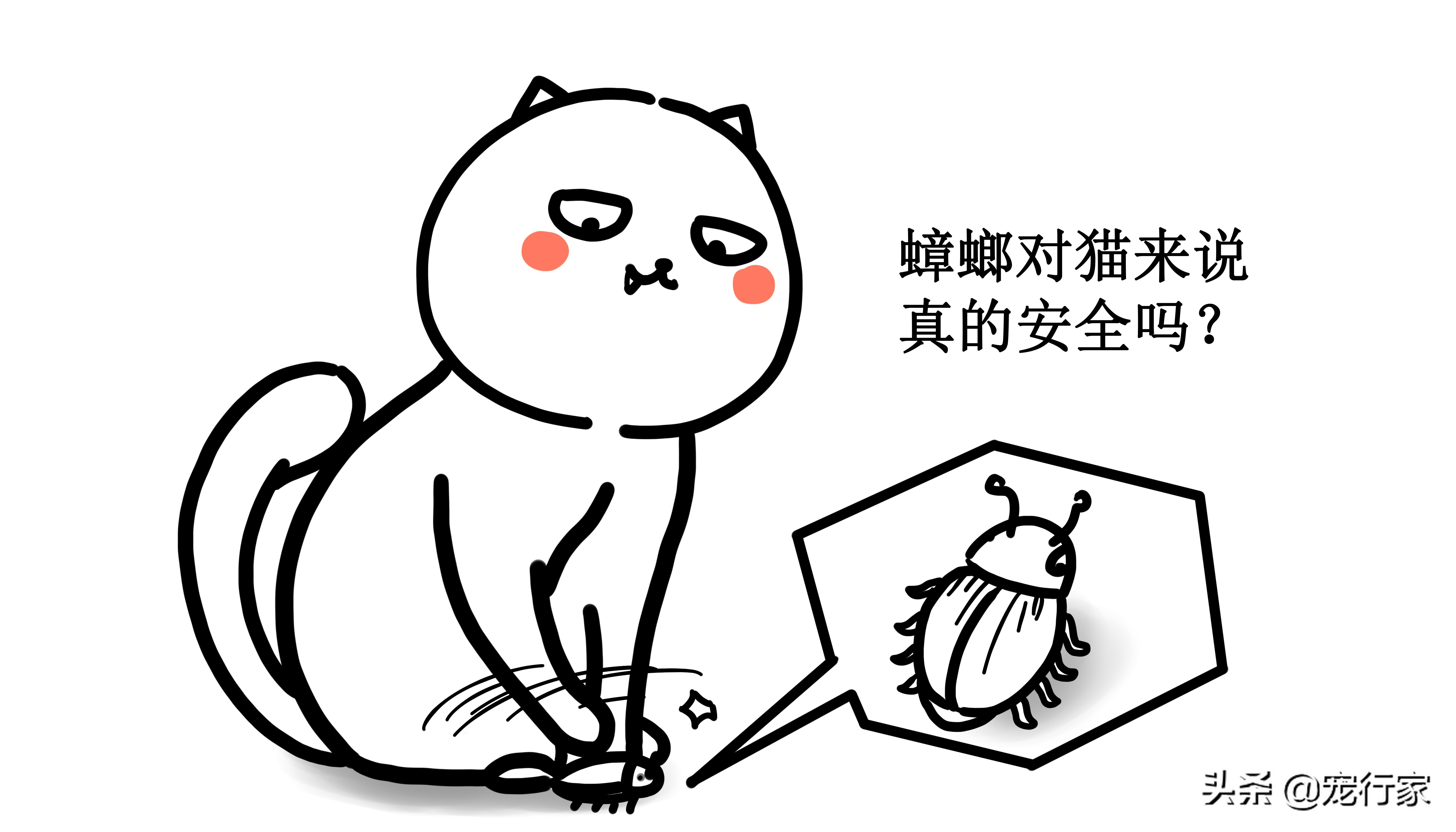 猫咪吃蟑螂不吃东西是什么原因,家猫吃了蚂蚁有毒吗