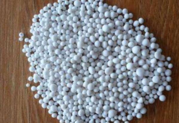 绿萝叶子为什么会蔫,绿萝叶子变枯萎