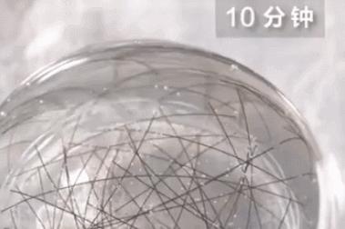 过年卫生清洁必备神器,家庭清洁必备神器来啦