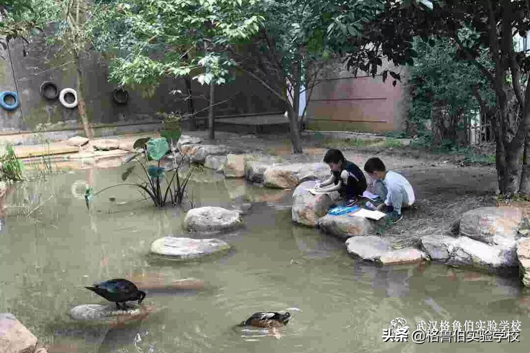 球球生活记录,球球在海边的生活
