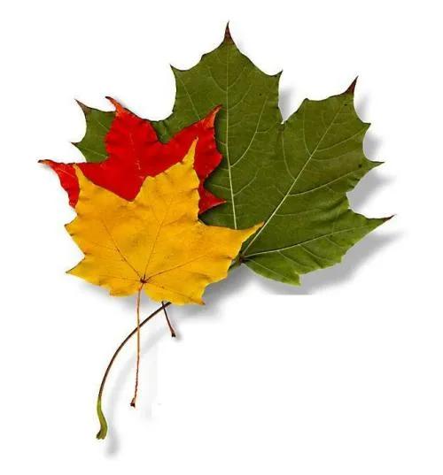 为什么定的目标总是失败,如何确定自己前进的目标