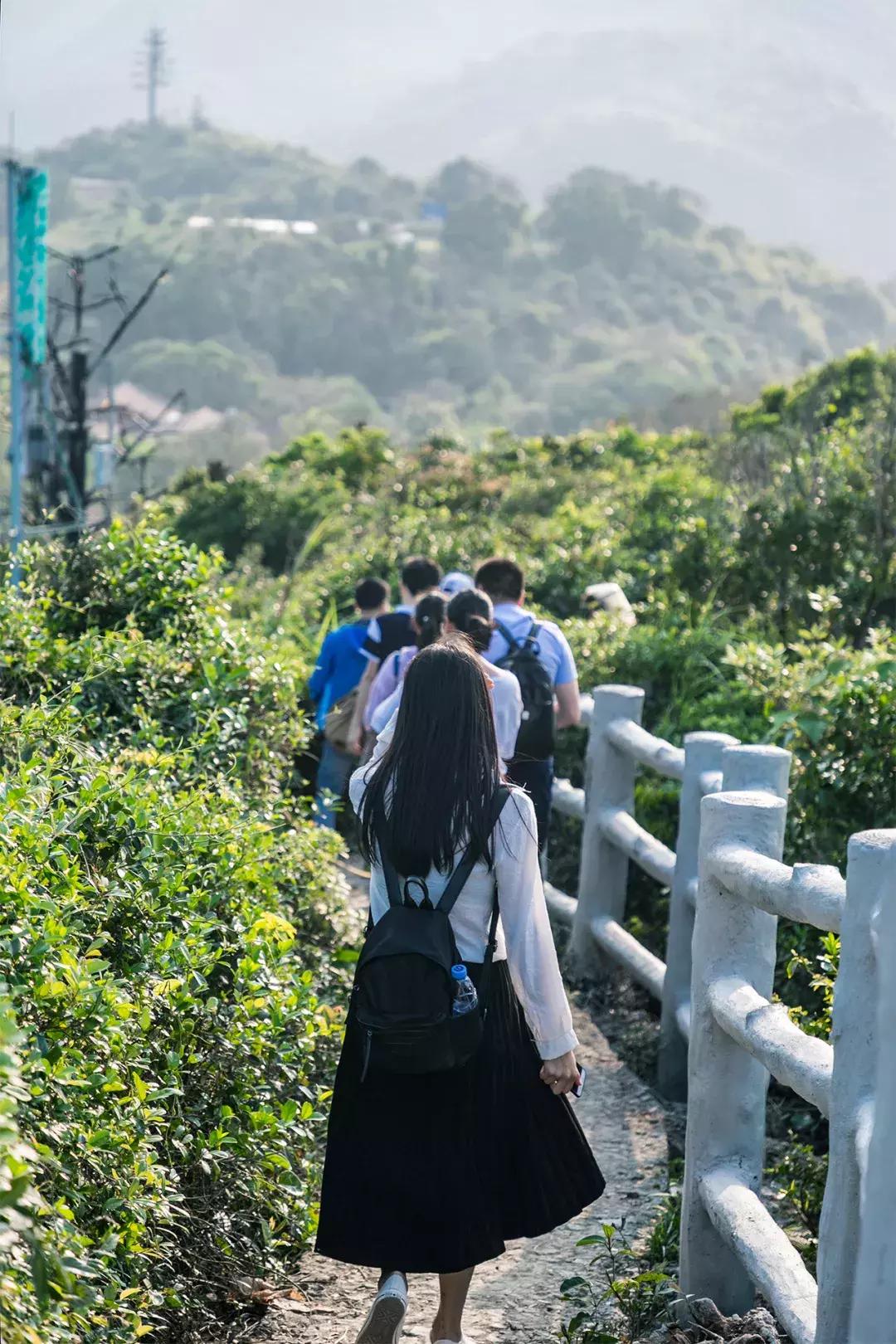 大鹏杨梅坑景区,杨梅坑旅游景点