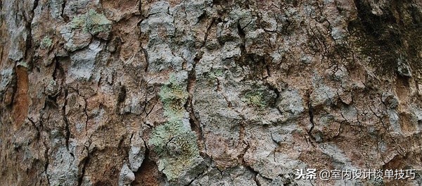 60种常用木材木纹大全，值得收藏