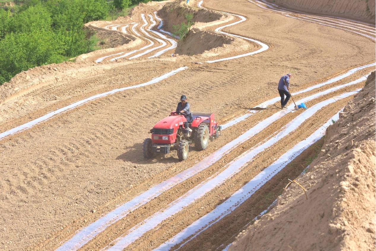 清涧郝家墕：“上帝指纹”的演变