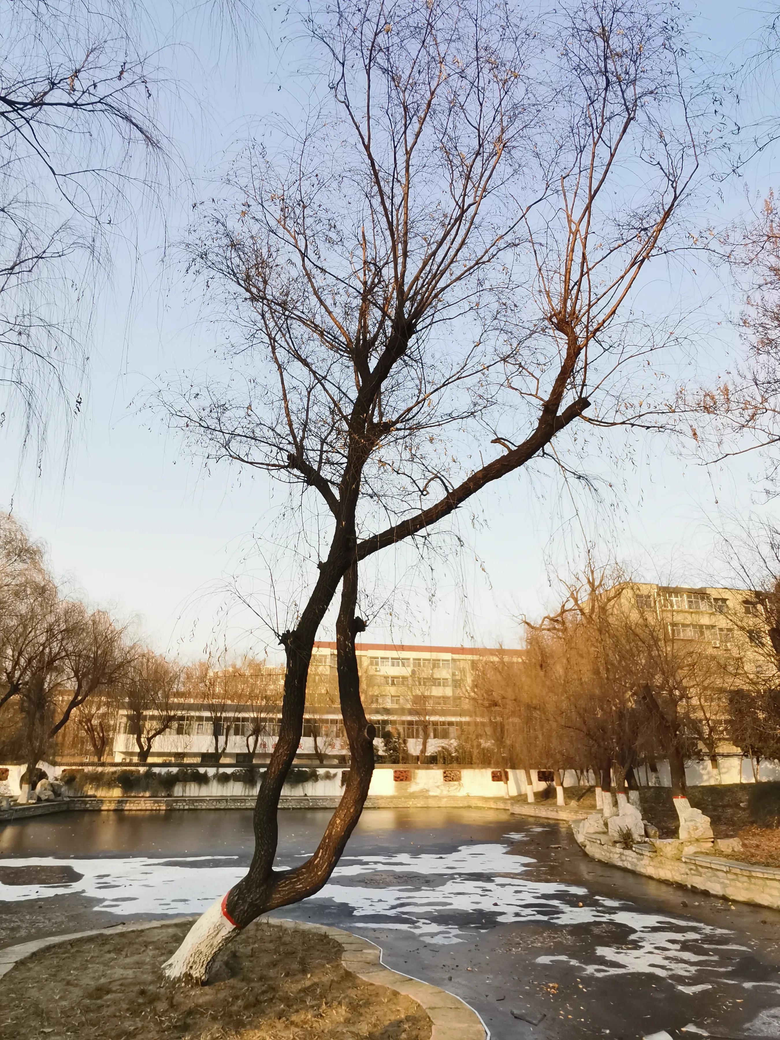 手拍世界摄影网,手拍世界