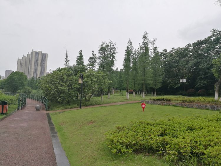 环湖，让我穿行在大冶的历史与当今之间——大冶尹家湖徒步纪事