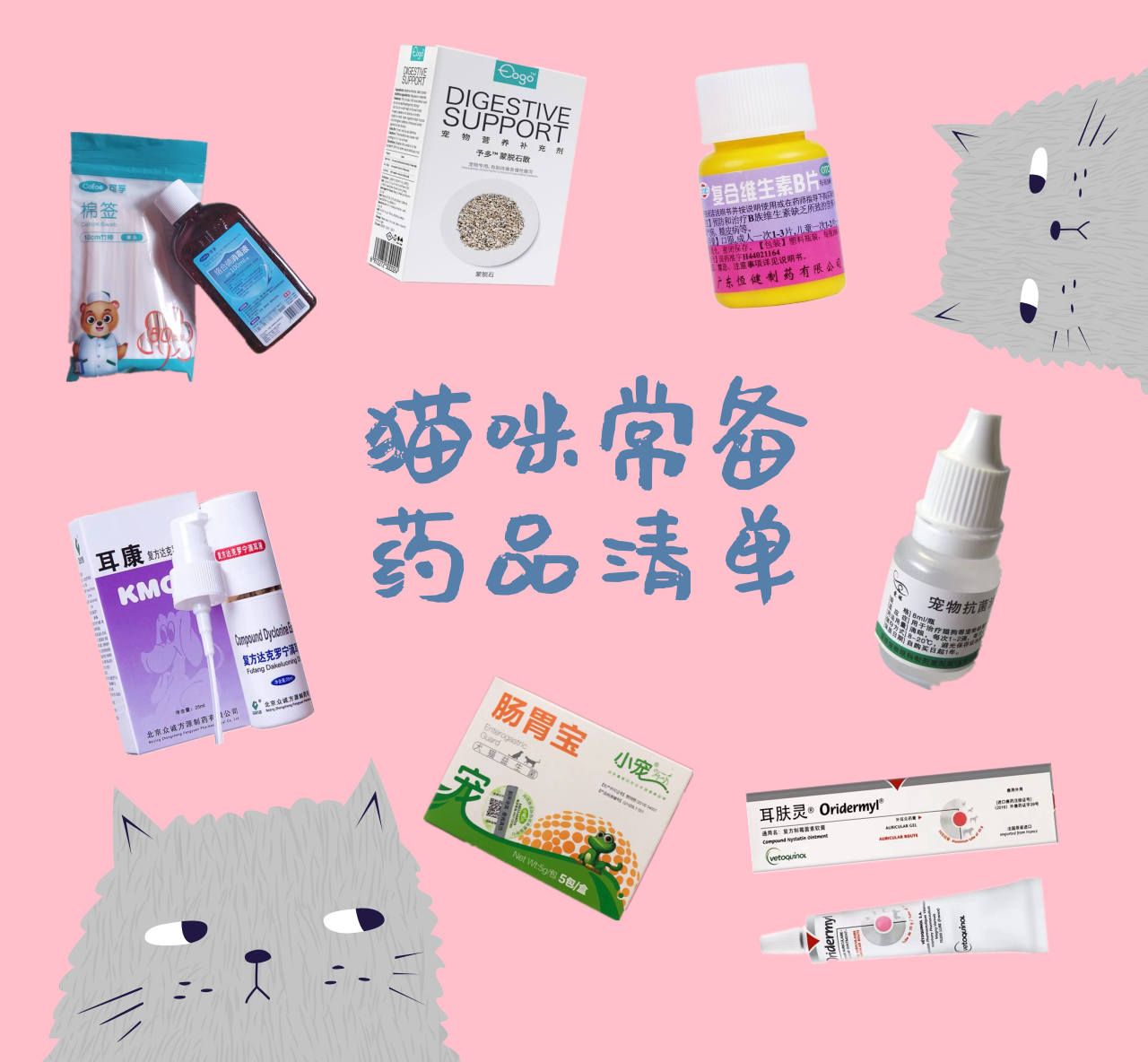 养猫需要常备哪些药,养猫必备七种药