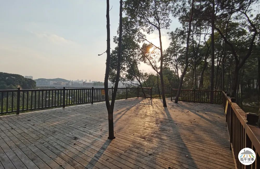 临平体育馆改扩建有篮球场吗,体育公园篮球场施工