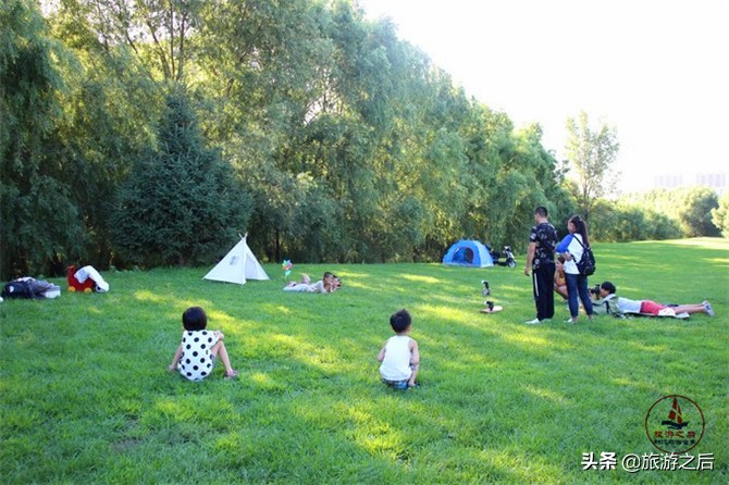 生态岛森林旅游,中国最美森林岛