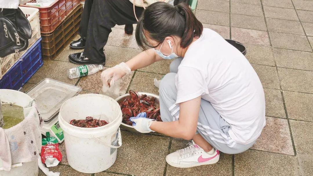 飞来飞去导游,飞来飞去的工作怎样
