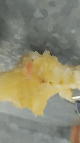 恶心吃苹果,吃苹果时吃出一条虫子感觉很恶心