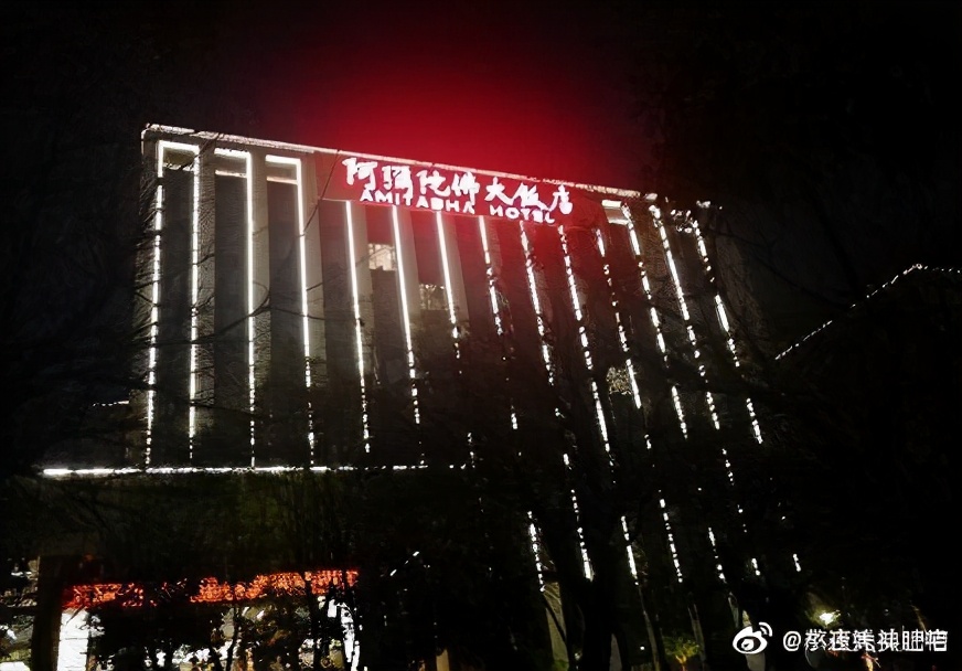 每日一趣：捡到陌生鸟的正确操作，网友评论可以说是总结很到位了