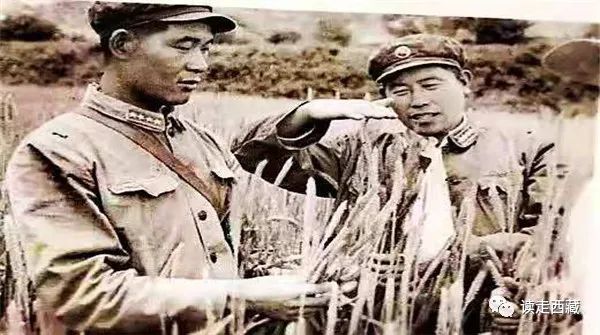 「雪域记忆」之十四——孤岛军魂，割舍不掉的墨脱情怀