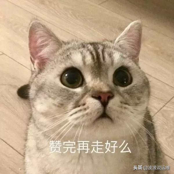 vmware虚拟机三种联网方式,vmware虚拟机桥接模式原理