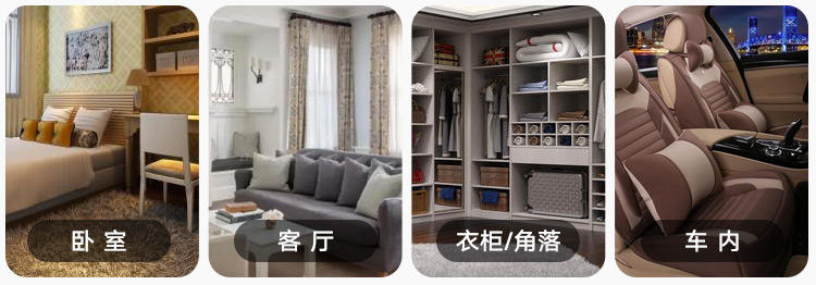 防辐射盆栽仙人掌,四季开花驱蚊的盆栽